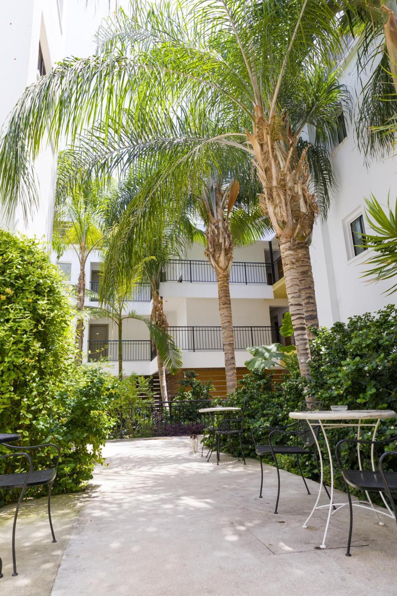 Paphos Alecos Hotel Apartments מראה חיצוני תמונה