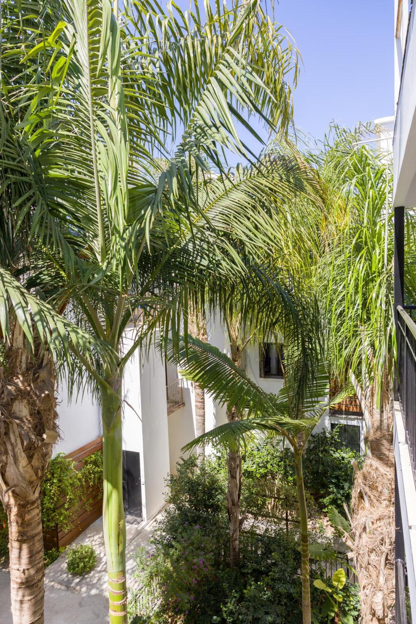 Paphos Alecos Hotel Apartments מראה חיצוני תמונה
